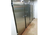 900 * 2000mm Kälte-Zimmertür, elektrische Schiebetür mit Heizung für Kühler