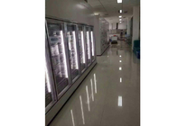 Kundengebundene sortierte Kühlraum-Türen/Glastür für Medizin-Gefrierschrank