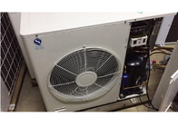 Luft abgekühlter industrieller Kühler, 4230 kondensierende Einheit W 2 HP für Gemüsekühlraum