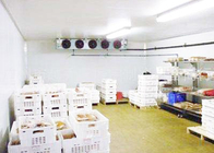 Copeland-Kompressor-Kühlraum-Raum für die Fleisch-Meeresfrüchte, die 1-jährige Garantie verarbeiten