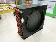 FNH-Reihen-Luft kühlte Kondensator-Abkühlungs-Teile für Biologie/Industrie ab