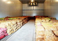 Gemüse- oder Frucht-Kühlraum mit 43kg / m³ Isolierung PU-Verkleidung